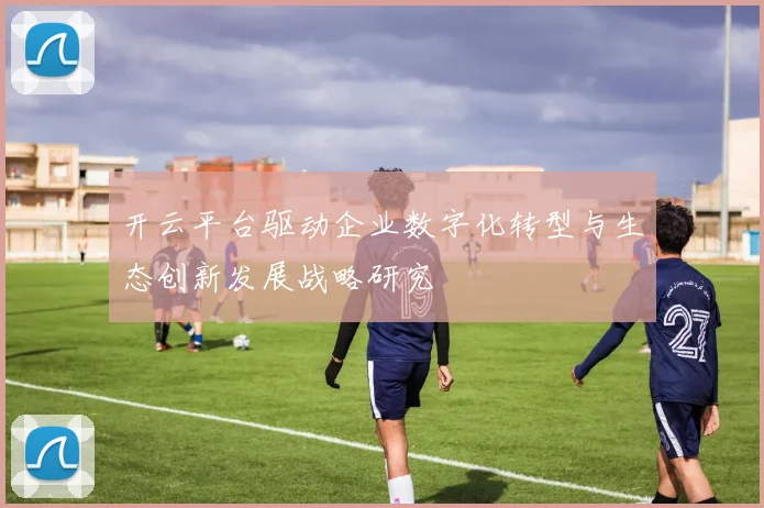 开云平台驱动企业数字化转型与生态创新发展战略研究