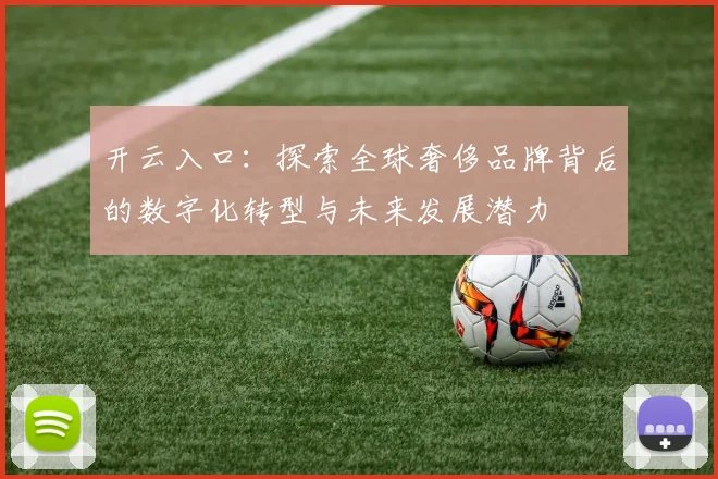 开云入口：探索全球奢侈品牌背后的数字化转型与未来发展潜力