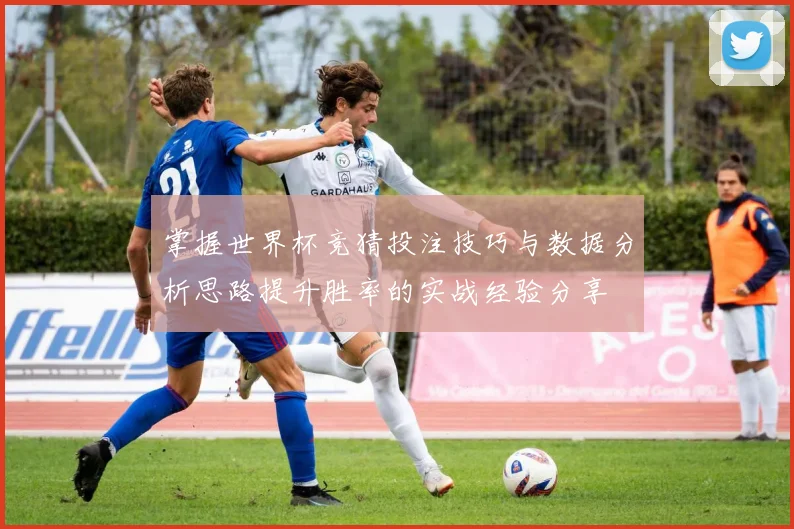 掌握世界杯竞猜投注技巧与数据分析思路提升胜率的实战经验分享