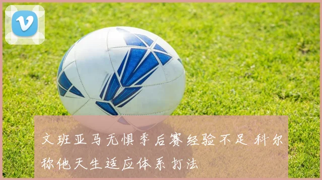 文班亚马无惧季后赛经验不足 科尔称他天生适应体系打法