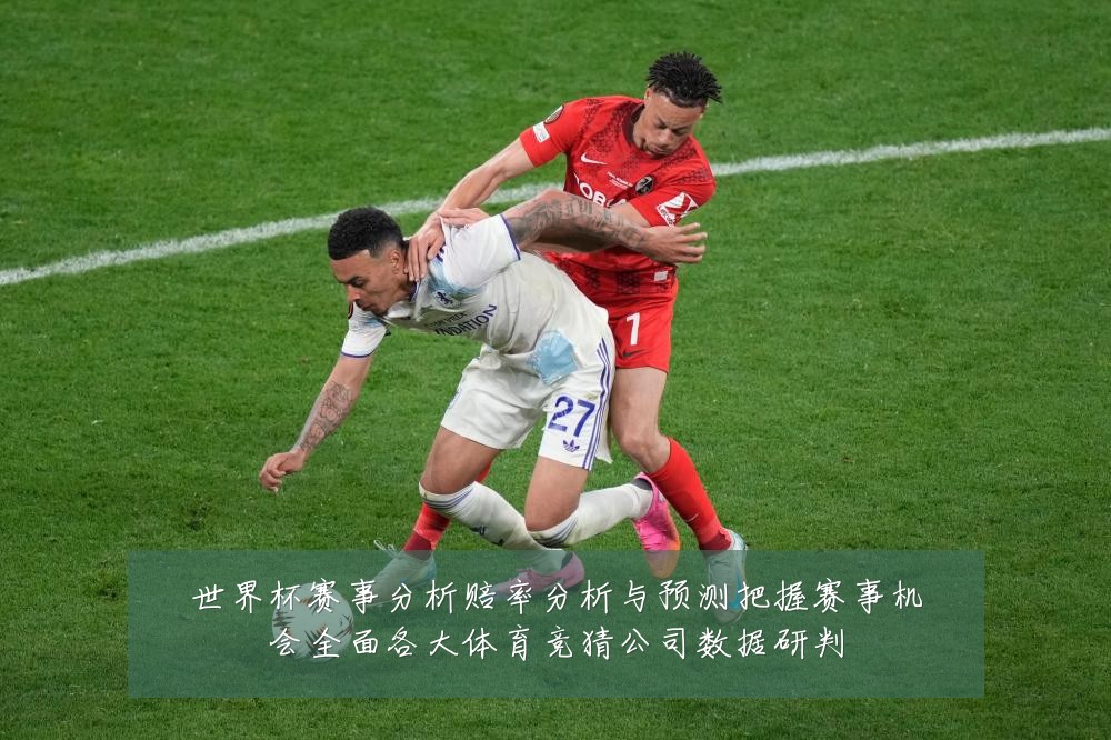 世界杯赛事分析赔率分析与预测把握赛事机会全面各大体育竞猜公司数据研判