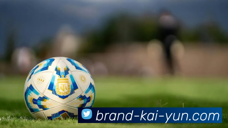 开云平台展示图