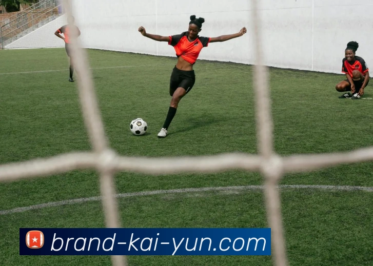 开云官网全站App